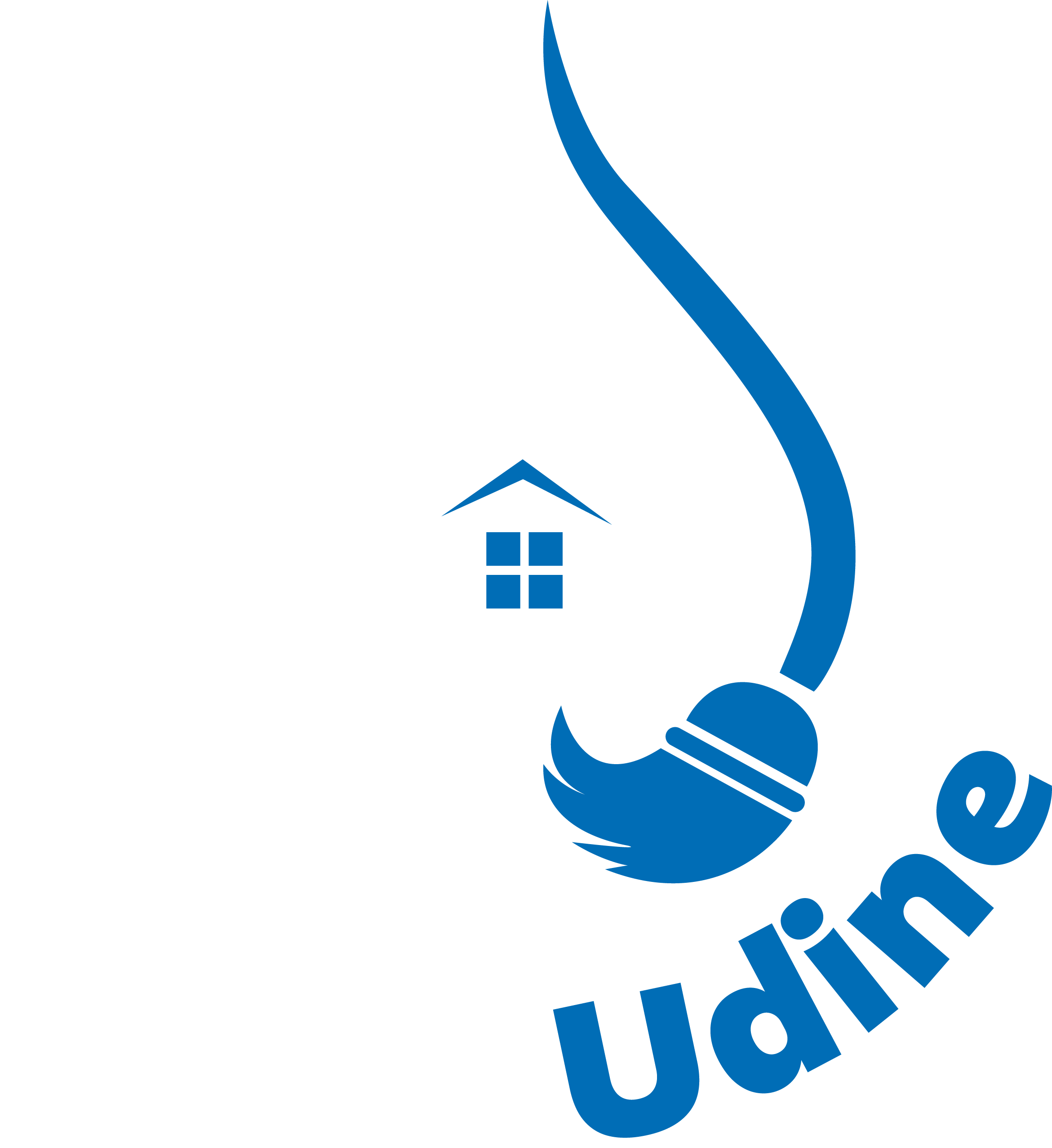 Pulizie Udine